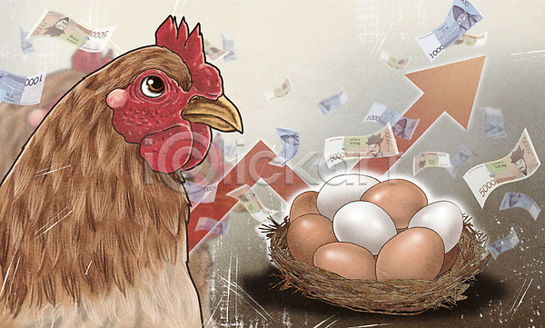사회이슈 상승 사람없음 PSD 일러스트 계란 닭 둥지 물가상승 암탉 오천원 지폐 천원 폭등 품귀현상 한마리 화살표 흩날리기