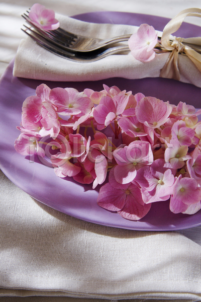 신선 흐름 사람없음 JPG 포토 해외이미지 꽃 꽃잎 내추럴 봄 분홍색 뷰티 수국 식물 여름(계절) 우아 자연 접시 정원 탁자 포크 향기