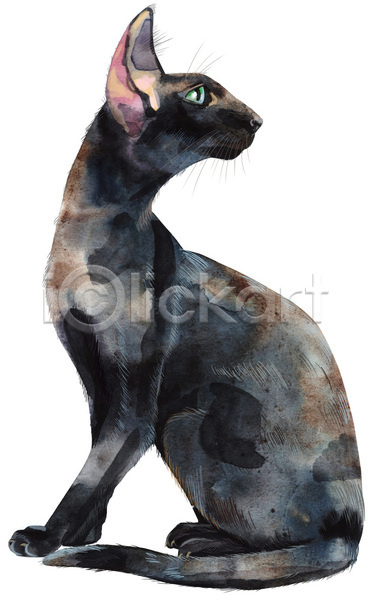 사람없음 JPG 포토 해외이미지 검은색 고양이 뒤돌아보기 수채화(물감) 응시 한마리