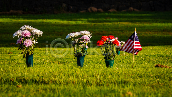 사람없음 JPG 포토 해외이미지 가로 국기 꽃 미국 북아메리카 자연 장식 카피스페이스 컬러풀 휴가