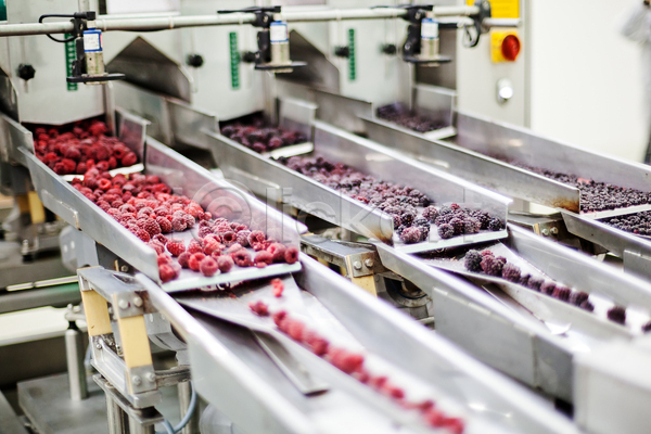 사람없음 JPG 소프트포커스 포토 해외이미지 공장 기계 냉동 냉동식품 분류 산딸기 식품공장 제조