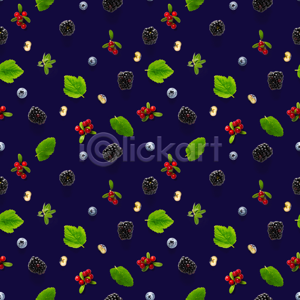 사람없음 JPG 포토 해외이미지 남색배경 블랙베리 블루베리 앵두 잎 패턴