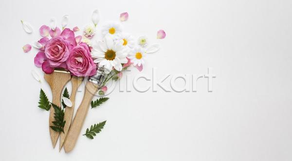 사람없음 JPG 포토 하이앵글 해외이미지 꽃잎 실내 장미 카피스페이스 페인트붓 흰배경
