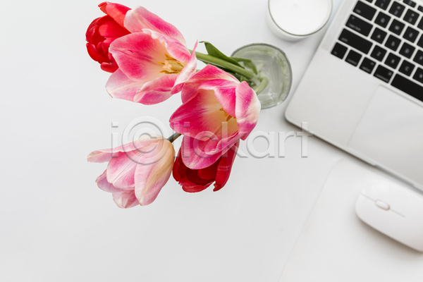 사람없음 JPG 포토 하이앵글 해외이미지 꽃병 노트북 마우스 실내 컵 튤립 흰배경