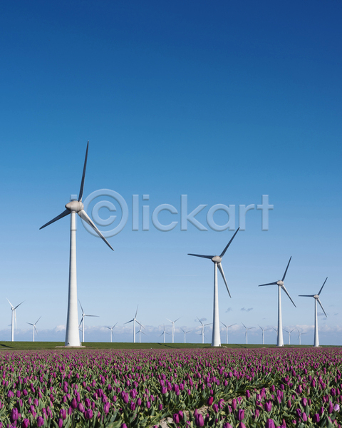 사람없음 JPG 포토 해외이미지 봄 야외 자연 주간 튤립 풍경(경치) 풍력에너지 하늘