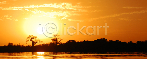 뜨거움 침묵 사람없음 JPG 실루엣 포토 해외이미지 가로 나무 땅 문학 문화 뷰티 사바나 사파리 새벽 수평선 식물 아침 아프리카 에코 여행 일출 자연 장면 지역 태양 평야 풍경 하늘 해외포토 환경 황금 휴가