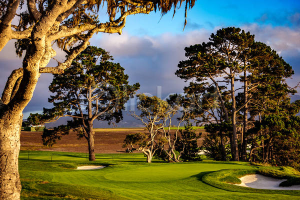 사람없음 JPG 포토 해외이미지 골프 골프장 미국 조약돌 초록색 캘리포니아 페어웨이