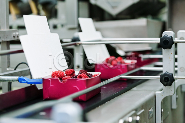 사람없음 JPG 소프트포커스 아웃포커스 포토 해외이미지 공장 기계 냉동 냉동식품 담기 산딸기 식품공장 제조 포장용기