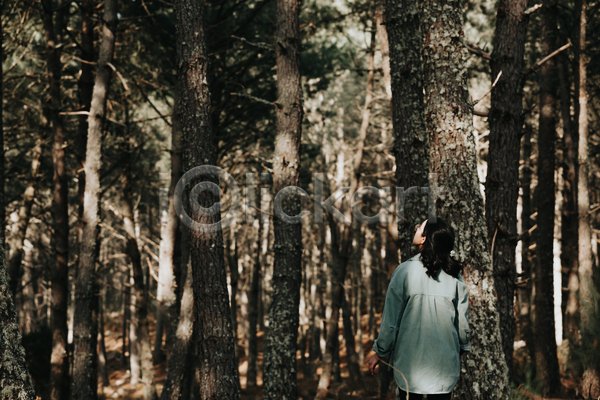 산책 휴식 성인 성인여자한명만 여자 한명 JPG 뒷모습 포토 해외이미지 상반신 소나무 소나무숲 숲속 야외 여행 올려보기 주간 혼자