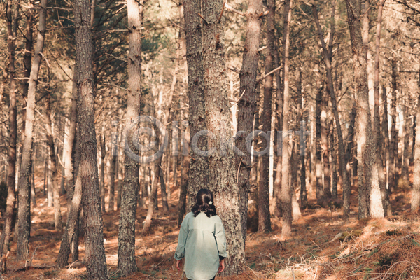 산책 휴식 성인 성인여자한명만 여자 한명 JPG 뒷모습 포토 해외이미지 상반신 소나무 소나무숲 숲속 야외 여행 주간 혼자