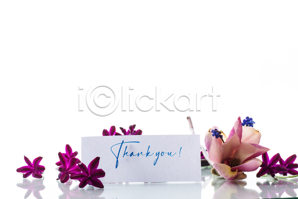 감사 사랑 사람없음 JPG 포토 해외이미지 레터링 백그라운드 보라색 봄꽃 사각형 종이 프레임