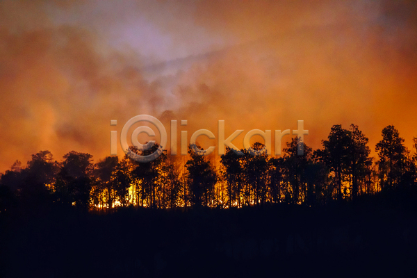 위험 사람없음 JPG 포토 해외이미지 나무 불 불꽃(불) 산 산불 숲 야외 연기