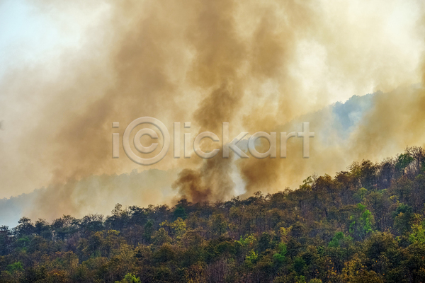 위험 사람없음 JPG 포토 해외이미지 나무 산 산불 숲 야외 연기 연소