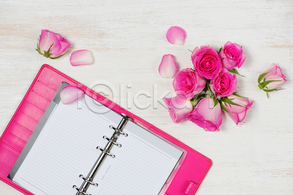사람없음 JPG 포토 하이앵글 해외이미지 꽃잎 다이어리 분홍색 실내 장미 카피스페이스 플래너 흰배경
