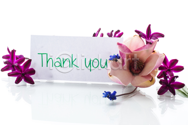 감사 사랑 사람없음 JPG 포토 해외이미지 레터링 백그라운드 보라색 봄꽃 사각형 종이 프레임