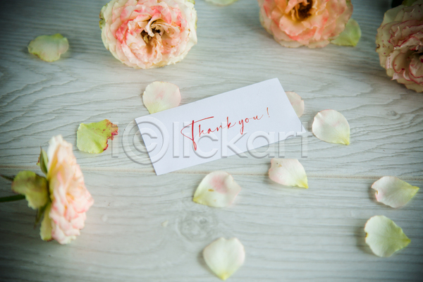 감사 사랑 사람없음 JPG 비네팅 포토 해외이미지 꽃잎 레터링 백그라운드 사각형 장미 종이 프레임 흰색