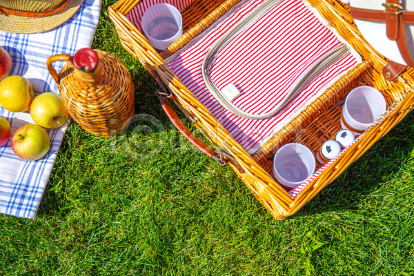 사람없음 JPG 포토 해외이미지 돗자리 병(담는) 사과 소풍 소풍바구니 야외 잔디 주간 천(직물) 체크무늬 컵