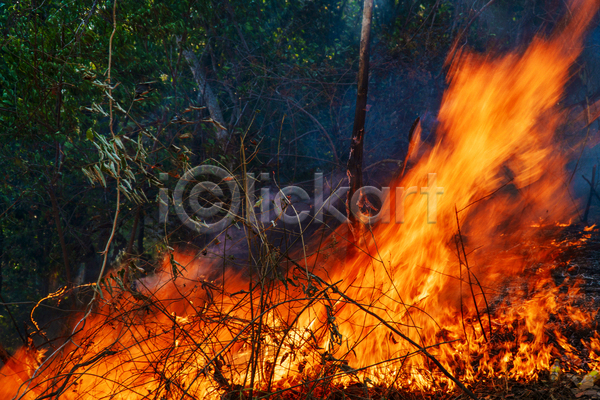 위험 사람없음 JPG 포토 해외이미지 나무 불꽃(불) 산 산불 숲 야외