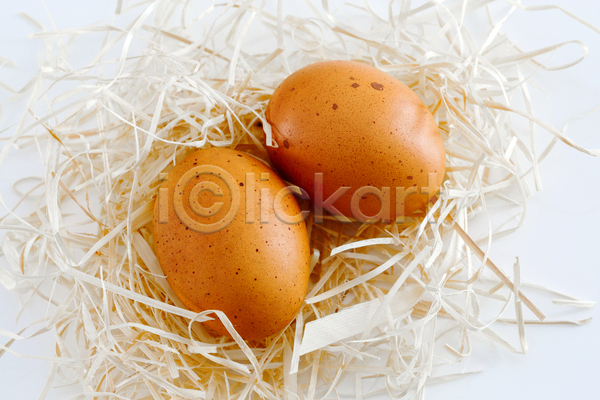 사람없음 JPG 포토 해외이미지 계란 두개 둥지 실내 종이 흰배경
