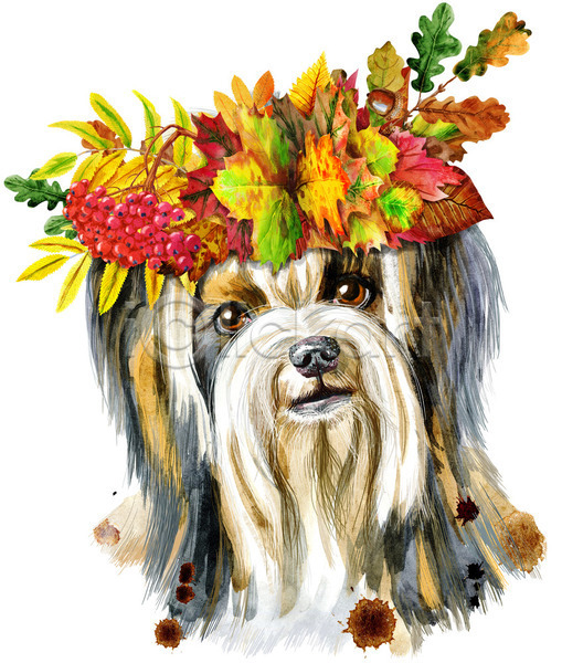 사람없음 JPG 포토 해외이미지 강아지 개 디자인 미술 수채화(물감) 요크셔테리어 잎 테리어 화관