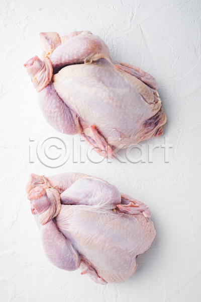 신선 사람없음 JPG 포토 하이앵글 해외이미지 날것 닭고기 생닭 실내 흰배경
