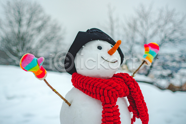추위 사람없음 JPG 포토 해외이미지 겨울 나무 나뭇가지 눈(날씨) 눈사람 당근 모자(잡화) 목도리 설원 장갑