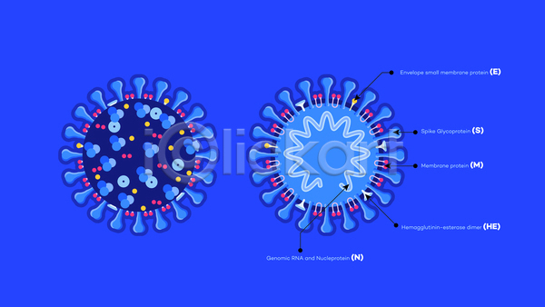 분석 사회이슈 사람없음 JPG 포토 해외이미지 델타변이바이러스 분석자료 오미크론 인포그래픽 코로나바이러스 코로나바이러스감염증19 파란색