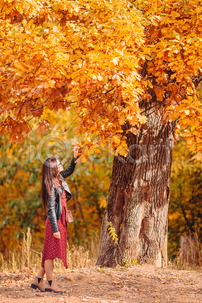 산책 성인 성인여자한명만 여자 한명 JPG 옆모습 포토 해외이미지 가을(계절) 공원 단풍나무 손뻗기 올려보기 전신 주황색 풍경(경치)