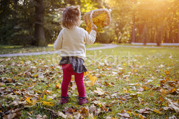기쁨 행복 백인 사람 소년 아기 어린이 한명 JPG 포토 해외이미지 10월 9월 가을(계절) 가족 걸음마 계절 공원 노란색 놀이 단풍 맑음 미소(표정) 백그라운드 빨간색 숲 야외 얼굴 오렌지 웃음 잎 자연 작음 정원 컬러풀 황금
