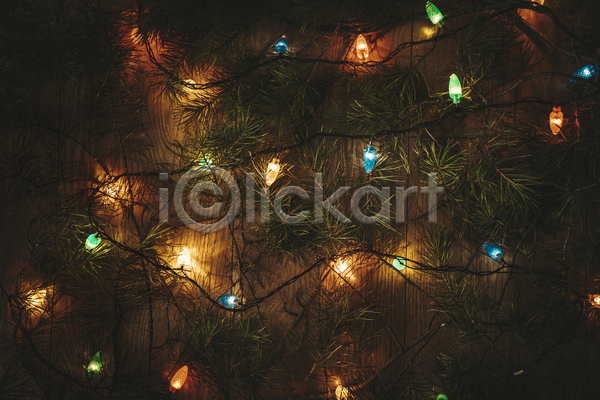 분위기 사람없음 JPG 포토 해외이미지 겨울 나무바닥 나뭇가지 빛 어둠 전구 크리스마스트리