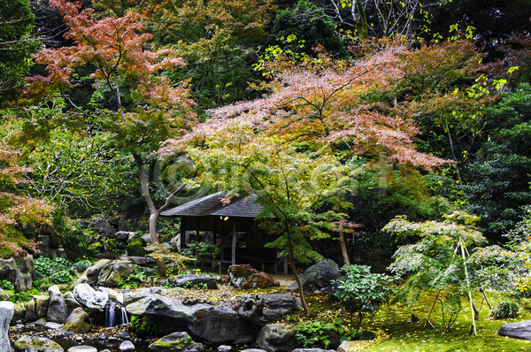 사람없음 JPG 포토 해외이미지 가을(계절) 나무 돌(바위) 야외 정자(건축물) 주간 풍경(경치)