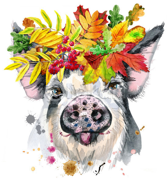 사람없음 JPG 일러스트 포토 해외이미지 단풍 돼지 미술 백그라운드 수채화(물감) 잎 화관
