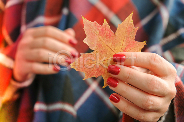 신체부위 JPG 아웃포커스 포토 해외이미지 가을(계절) 낙엽 네일아트 단풍 들기 손 오브젝트