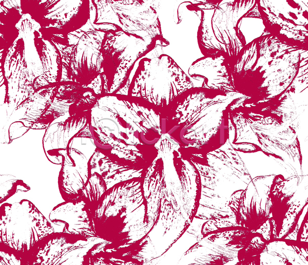 축하 사람없음 JPG 일러스트 포토 해외이미지 고립 그림 꽃 꽃다발 꽃무늬 내추럴 반복 백합(꽃) 벚꽃 분홍색 뷰티 빨간색 수확 식물 이국적 자연 정원 컬러풀 패턴 화초 흰색