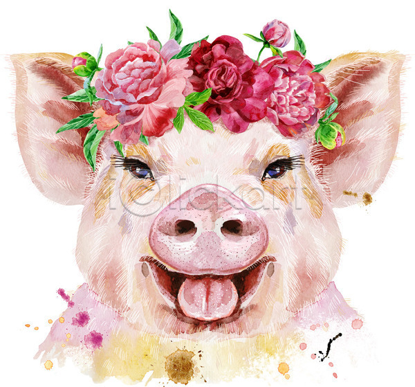 사람없음 JPG 일러스트 포토 해외이미지 돼지 미술 백그라운드 수채화(물감) 웃음 화관