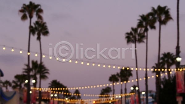 사람없음 JPG 포토 해외이미지 로스앤젤레스 밤하늘 보케 빛 알전구 야간 야경 야외 야자수 여름(계절) 여름풍경