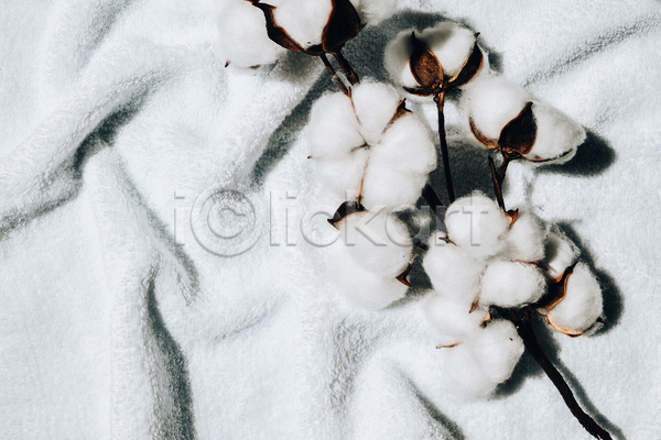 사람없음 JPG 포토 해외이미지 가을(계절) 목화꽃 목화솜 실내 오브젝트 천(직물) 흰색