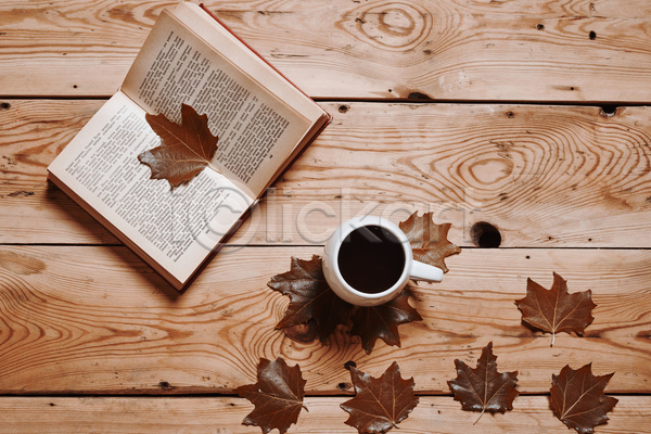 사람없음 JPG 포토 하이앵글 해외이미지 가을(계절) 나무배경 낙엽 단풍 실내 오브젝트 책 커피