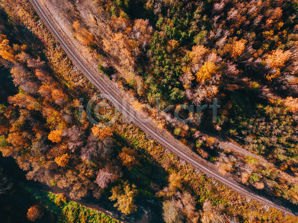 사람없음 JPG 포토 항공촬영 해외이미지 가을(계절) 나무 도로 숲 시골 야외 자연 풍경(경치)