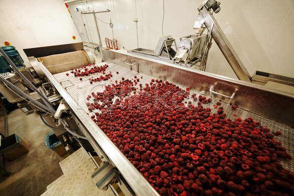 사람없음 JPG 포토 해외이미지 공장 기계 냉동 냉동식품 분류 산딸기 식품공장 제조