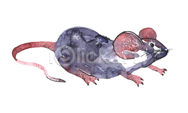 사람없음 JPG 포토 해외이미지 그림 수채화(물감) 쥐 한마리