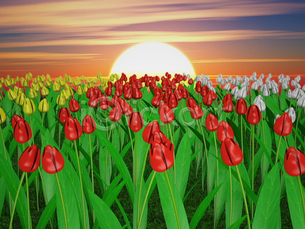 사람없음 3D JPG 일러스트 포토 해외이미지 계절 공원 꽃 꽃무늬 노란색 맑음 밭 백그라운드 벚꽃 봄 뷰티 빨간색 새벽 오렌지 일몰 정원 초록색 컬러풀 태양 튤립 풍경(경치) 하늘