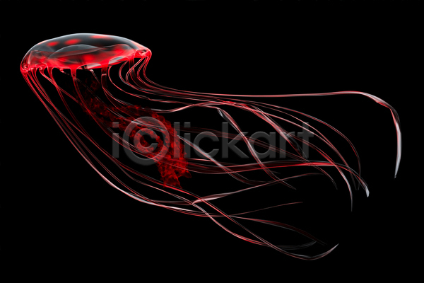 사람없음 JPG 포토 해외이미지 바닷속 빨간색 수중동물 자포동물 한마리 해파리