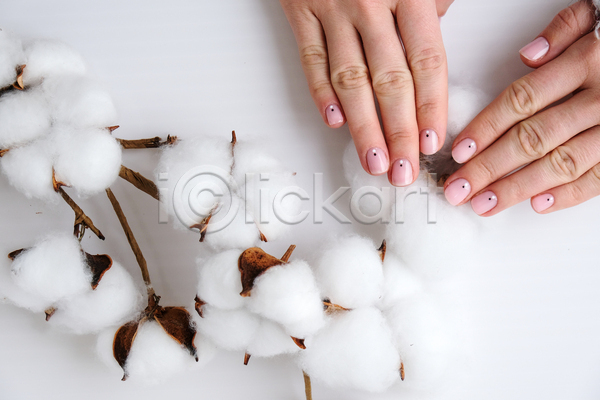 신체부위 JPG 포토 해외이미지 가을(계절) 네일아트 목화꽃 목화솜 손 손짓 실내 흰배경