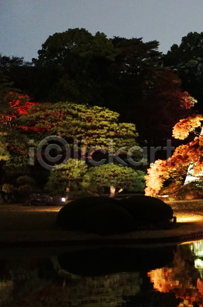 사람없음 JPG 포토 해외이미지 가을(계절) 나무 야간 야외 어둠 풍경(경치)