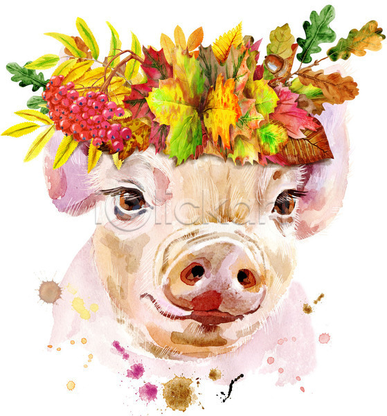 사람없음 JPG 일러스트 포토 해외이미지 돼지 미술 백그라운드 수채화(물감) 잎 화관