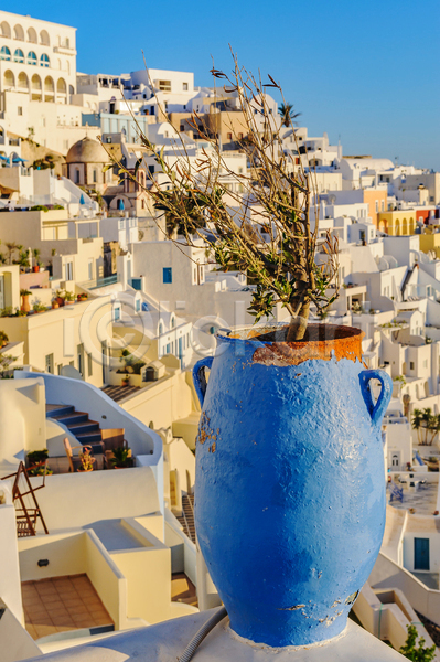 사람없음 JPG 포토 해외이미지 건물 그리스 나무 도자기 마을 맑음 산토리니 식물 유럽 일몰 주택 파란색 화분 휴양지 흰색