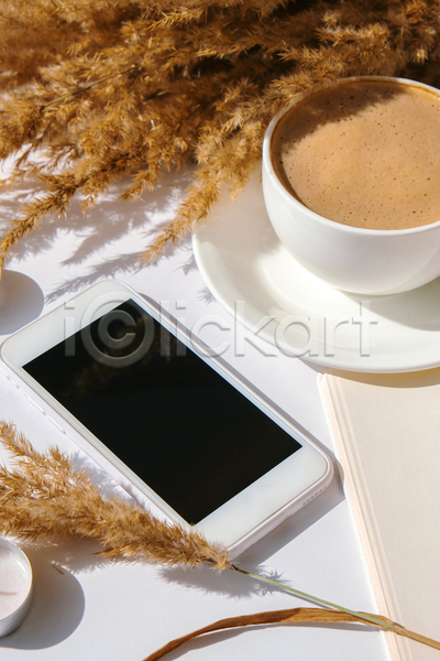 사람없음 JPG 포토 해외이미지 가을(계절) 스마트폰 실내 오브젝트 커피 팜파스그라스 흰배경