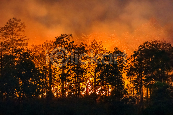 위험 사람없음 JPG 포토 해외이미지 나무 불 불꽃(불) 산 산불 숲 야외 연기 연소