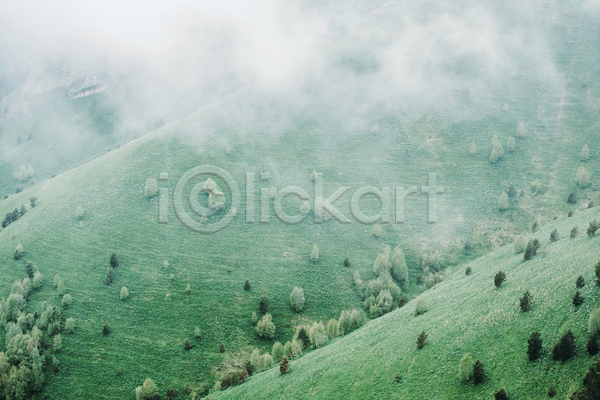 사람없음 JPG 포토 해외이미지 백그라운드 산 숲 안개 야외 언덕 자연 주간 초록색 풍경(경치)